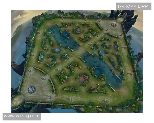 深入分析王者荣耀WE战队在比赛中的控制策略与战术运用 深入分析王者荣耀WE战队在比赛中的控制策略与战术运用